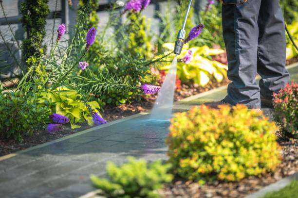  Pinecrest, FL Pressure Washing Pros