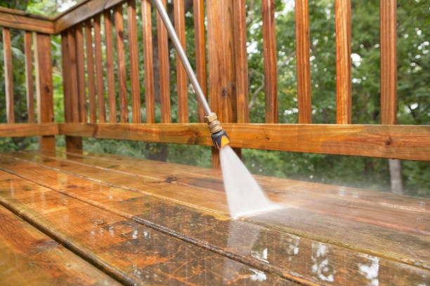 Best Fence Cleaning  in Pinecrest, FL