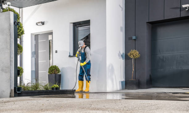 Best Graffiti Removal  in Pinecrest, FL